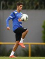 /album/futbol%e2%99%a5/pato-jpg/